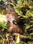buffo_2021-07-10_13-40-42.jpg